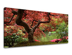 Stenska poslikava PANORAMA TREES XOBST001E13 50X100 cm