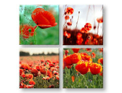 Slike na platnu Meadow of poppy poppies 4-delni Kolaž XOBKOL17E42