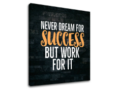 Motivacijska slika na platnu About success_006