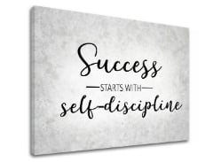 Motivacijska slika na platnu About success_008