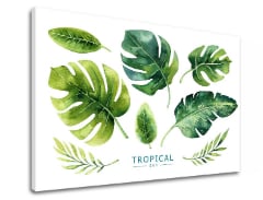 Slike na platnu z besedilom Tropical set