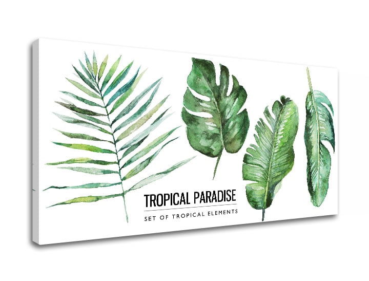 Slike na platnu z besedilom Tropical paradise