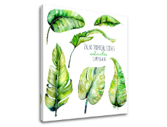 Slike na platnu z besedilom Palm tropical leaves