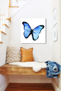 Slika na ogledalu Modri metulj Mirrora 15 - 50x50 cm
