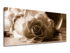 Panoramska stenska slika FLOWERS 40x80 cm