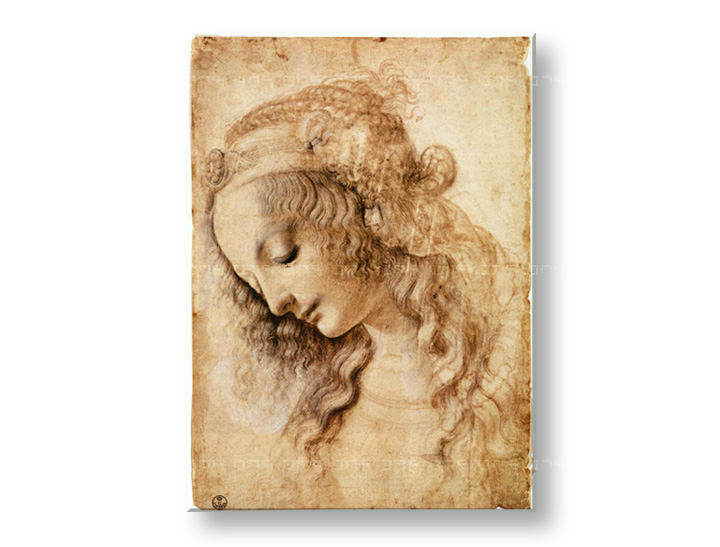 Slika na platnu GLAVA ŽENSKE – Leonardo Da Vinci