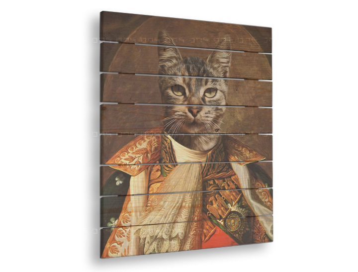 Slika na lesu živalski portret Kim - 60x80 cm
