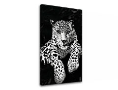 Slika na platnu GEPARD 001