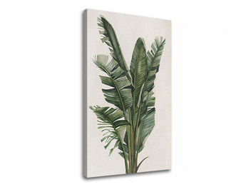 Slika na platnu PLANTS 007