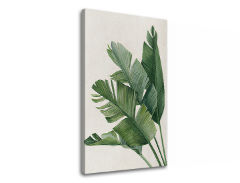 Slika na platnu PLANTS 008