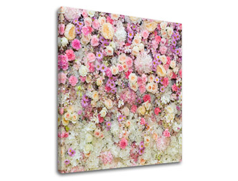 Slikanje sten ROSES_167-12