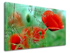 Stenska slika Cvetje 40x60 cm