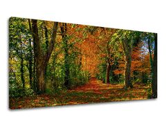 Stenska slika PANORAMA DREVESA 60x120 cm