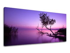Stenska slika PANORAMA WEST SLNKA 50x100 cm